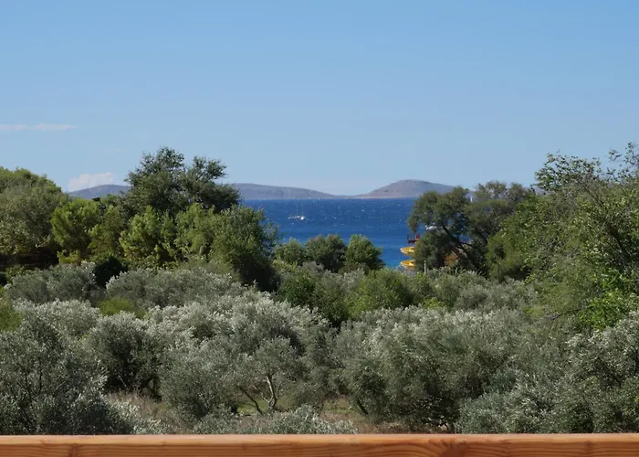 Appartement Lojena Luxury With Jacuzzi For 2